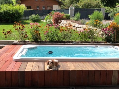 Pourquoi choisir un spa de nage plutot qu’une piscine ?